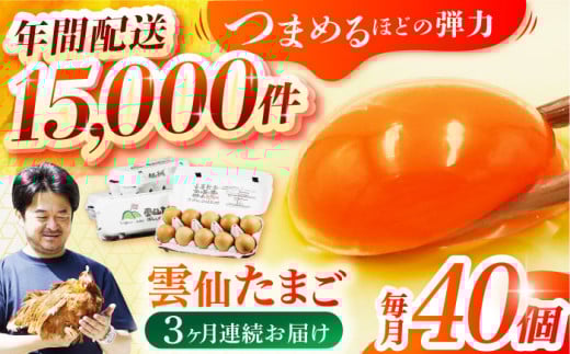 【卵 定期便 3か月】雲仙たまご 40個(卵10個入り×4パック) 長崎県/塚ちゃん雲仙たまご村 [42ACAE011] 玉子 タマゴ 鶏卵 長崎 島原 九州 3ヶ月 3回