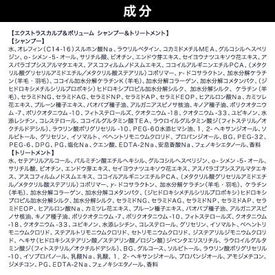 ふるさと納税 滑川町 ダイアン エクストラスカルプ&ボリューム シャンプー&トリートメント本体|19_ntl-220201 |  | 01