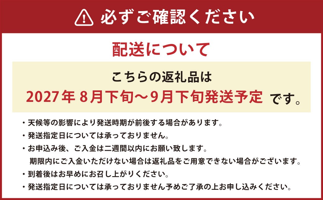 熊本「旬の梨」約5kg