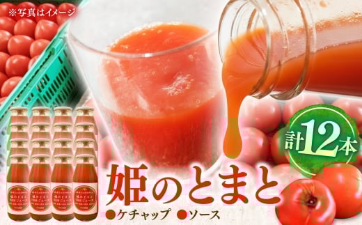 姫の100％完熟トマトジュース 180ml×12本 多治見市 / 岩原農園 トマト とまと トマトジュース 食塩砂糖不使用 無添加 [TFP004]