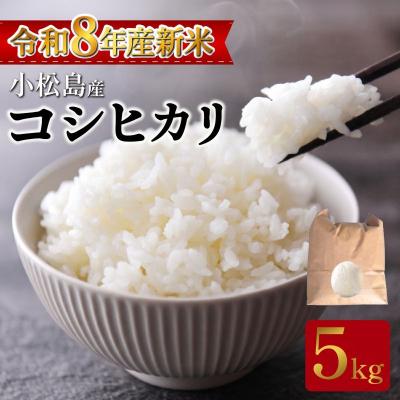 ふるさと納税 小松島市 【令和8年産】新米 コシヒカリ 5kg 小松島産 産地直送 新鮮 米