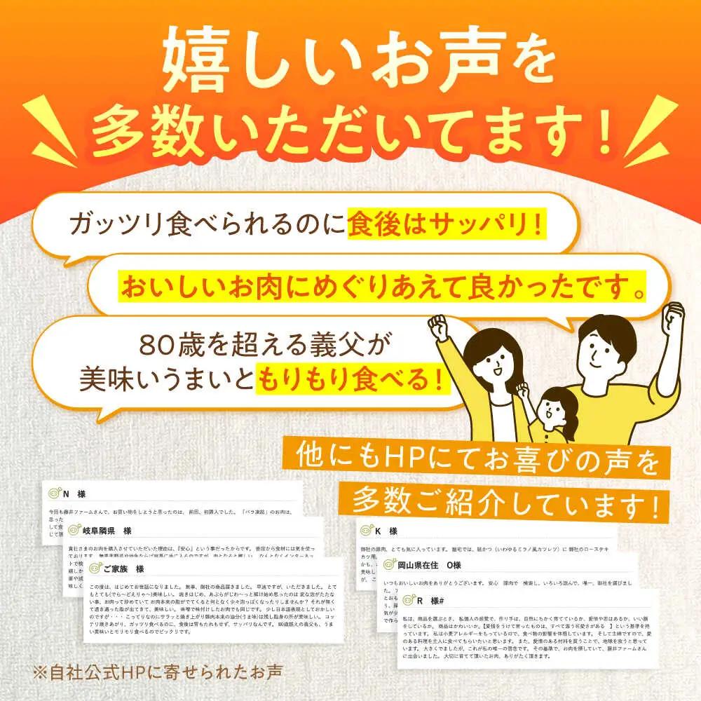 豚丼セット 計6人前 藤井ファーム [AWAF003]豚丼