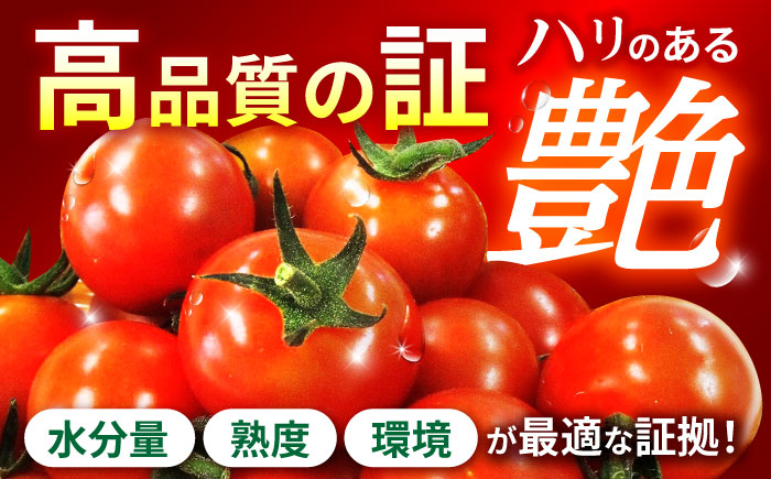 愛果菜ミニトマト9P×2セット / ミニトマト プチトマト トマト とまと 野菜 / 諫早市 / 愛菜ファーム株式会社  [AHAK002]