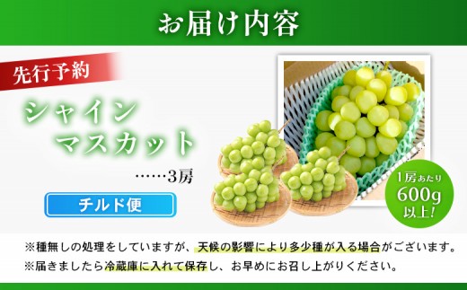 【先行予約】《2026年9月下旬～11月下旬出荷》 宮城県丸森町産 シャインマスカット　3房(1房 600g以上)　