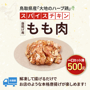 【鳥取県産 大地のハーブ鶏】 スパイスチキン 唐揚げ 500g KC231 もも肉 鶏肉 チキン