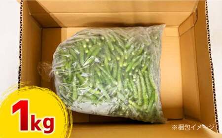 那珂川産 冷凍 青唐辛子 （辛口）1kg＜マルワ産業株式会社＞那珂川市  野菜 唐辛子 15000 15000円 [GDI001]