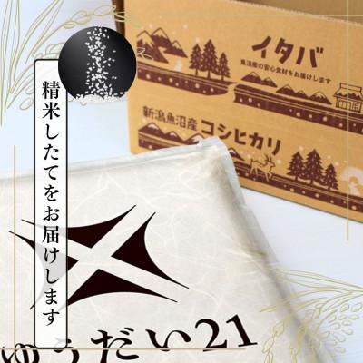 ふるさと納税 十日町市 【令和7年産】魚沼産ゆうだい21(精米)5kg |  | 01