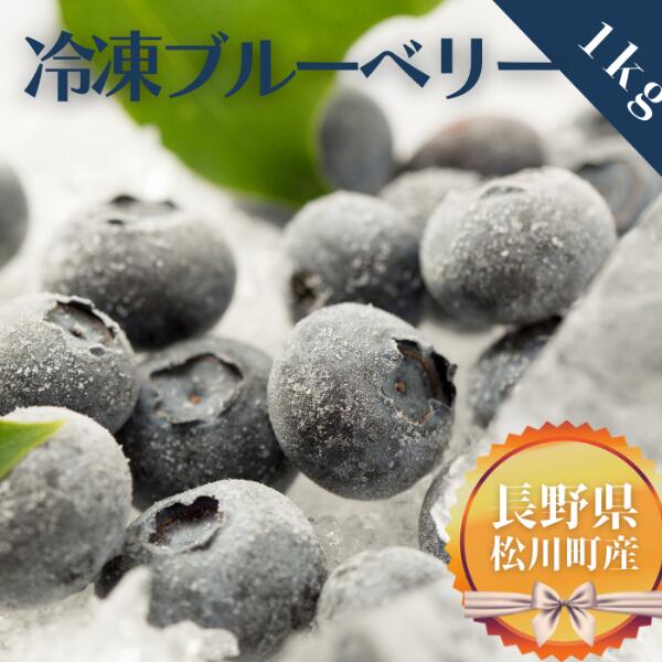 【ふるさと納税】冷凍ブルーベリー 約1kg 大粒 2Lサイズ スムージーにも／KB05