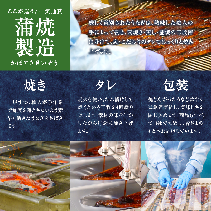 うなぎ蒲焼2尾(さんしょう・たれ付き)計300g以上_T026-001【鰻 魚 魚介 加工品 九州産 国産 人気 ギフト 食品 おかず 惣菜 高級 お土産 贈り物 送料無料 プレゼント】