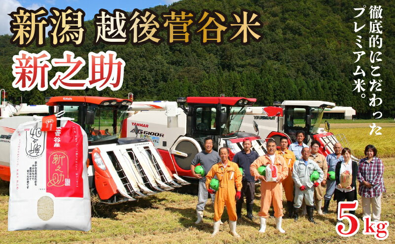 【ふるさと納税】 米 令和7年産 新之助 5kg 玄米 新潟県 新発田産 米 5kg 越後菅谷 新之助 数量限定 D18_03