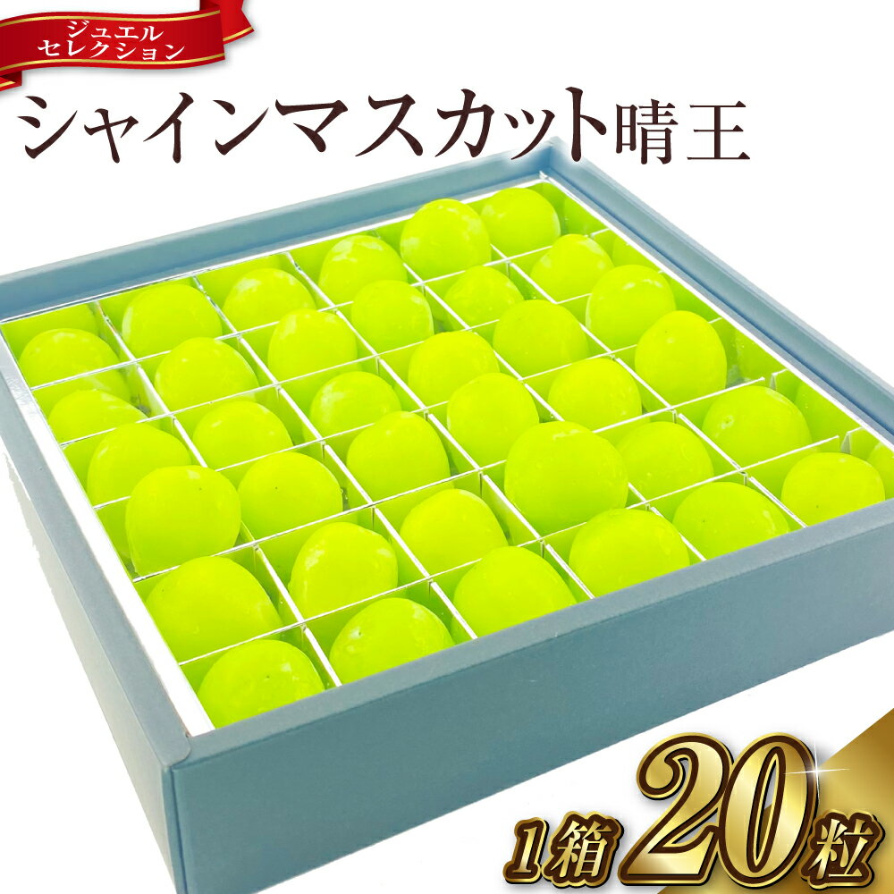 【ふるさと納税】 シャインマスカット晴王 ジュエルセレクション 1箱20粒 2025年 先行予約受付中 岡山県産 種無し 皮ごと食べる みずみずしい 甘い フレッシュ 瀬戸内 晴れの国 おかやま 果物大国 ハレノフルーツ【2025年9月上旬-10月下旬 発送予定】