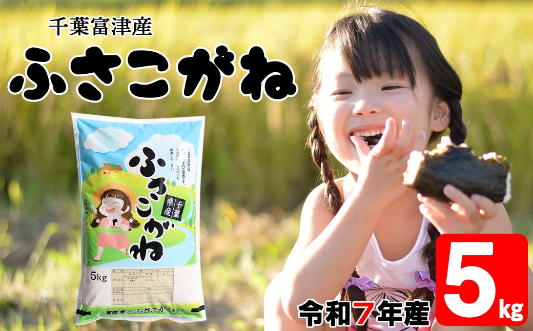 
                  令和7年 千葉富津産「ふさこがね」5kg精米　米 精米 令和7年産 ふさこがね 5kg 大粒 もっちり 精米したその日に発送 白米 ごはん 米 ライス おにぎり 太巻き寿司 米店 2025年 千葉県 富津市 かじや米店
                