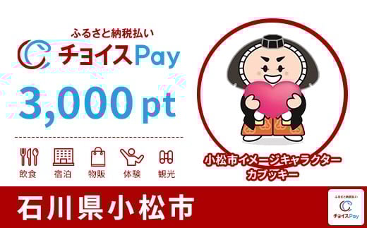 
            小松市チョイスPay 3,000pt【会員限定のお礼の品】
          