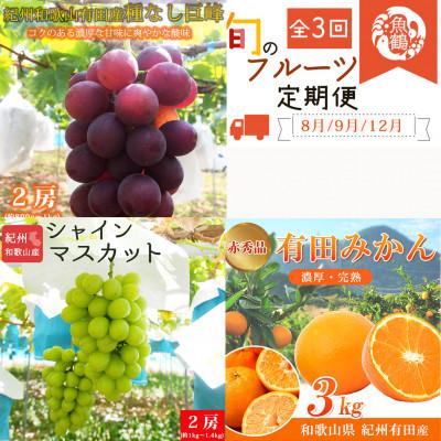 ふるさと納税 有田川町 【発送月固定定期便】紀州和歌山産旬のフルーツセット(種なし巨峰・シャイン・みかん)全3回