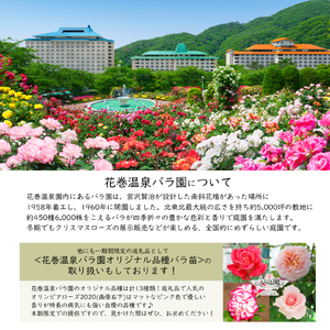 花巻温泉バラ園 オリジナル品種「ミラクルローズ90」　新苗　<2025年6月より随時発送> 【1999】