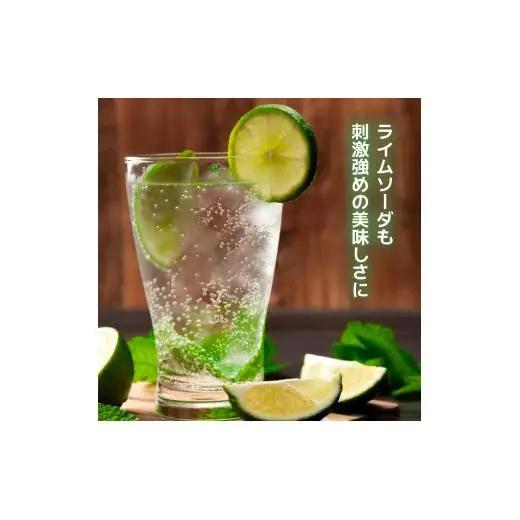 炭酸水 定期便 毎月 12回 500ml×24本 ソーダ