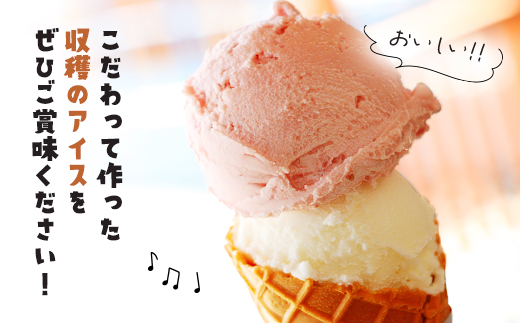 【こだわりの手作り】収穫のアイス<おすすめフレーバー食べ比べ6個セット>（ミルク・イチゴ・ほうじ茶・抹茶・丹波栗・丹波黒豆各1カップ）/ ふるさと納税 スイーツ アイス アイスクリーム こだわり 手作