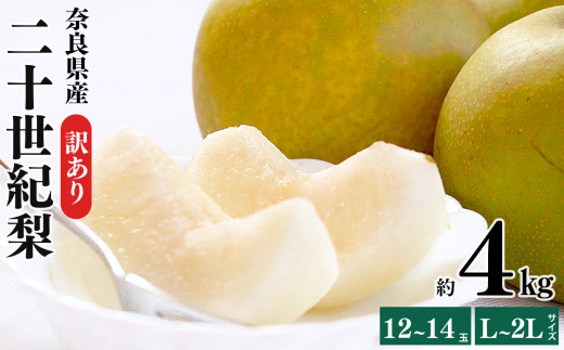 G17 【訳あり】 二十世紀梨 L～2Lサイズ 12～14玉 約4kg | フルーツ 果物 くだもの 梨 二十世紀梨 奈良県 大淀町
