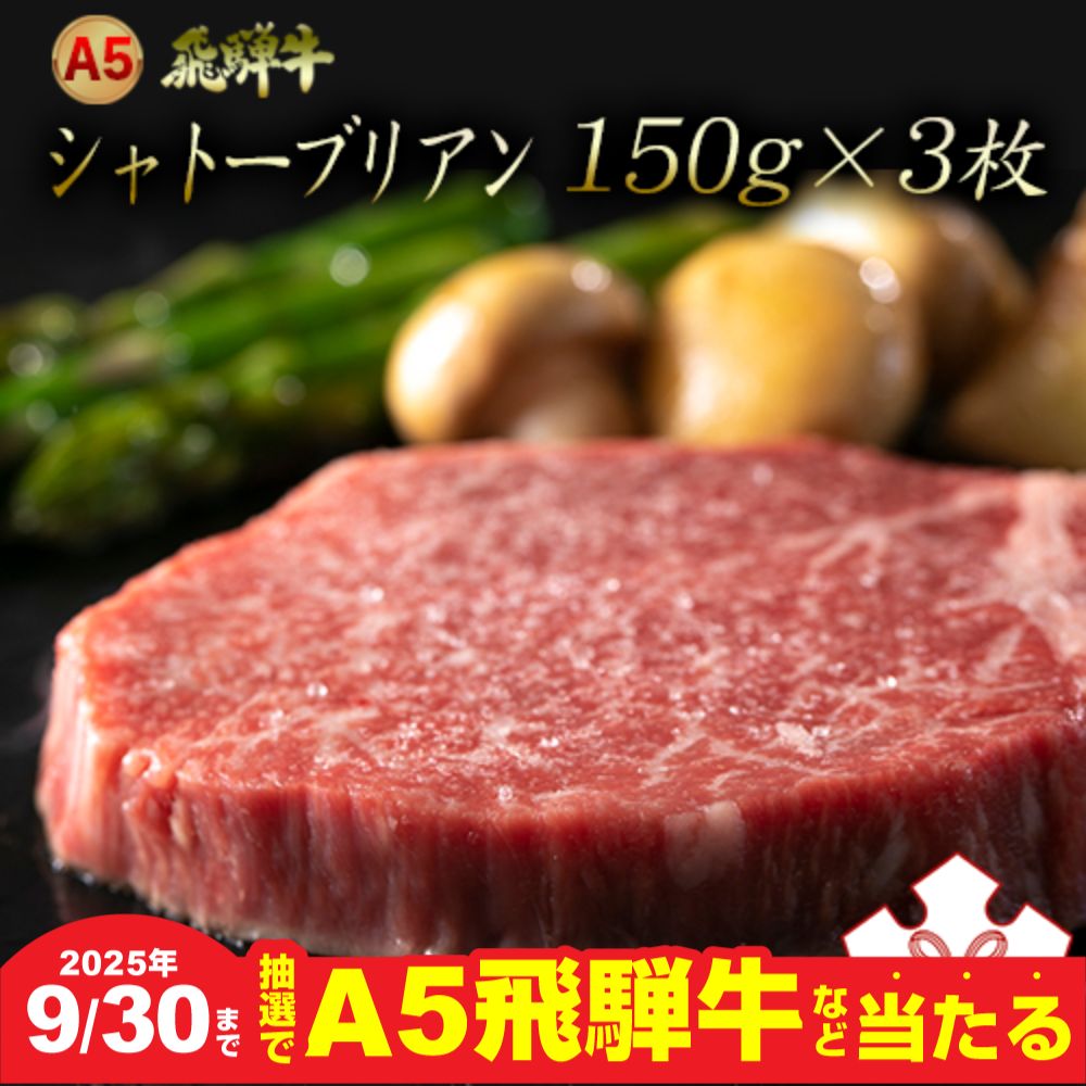 【ふるさと納税】【9月30日〆飛騨牛が抽選で当たる】 A5 飛騨牛 シャトーブリアン ステーキ 3枚 飛騨牛 牛肉 肉 黒毛和牛 希少部位 国産 厳選 ブランド牛 お取り寄せ 高級 ステーキ 岐阜県 大垣市