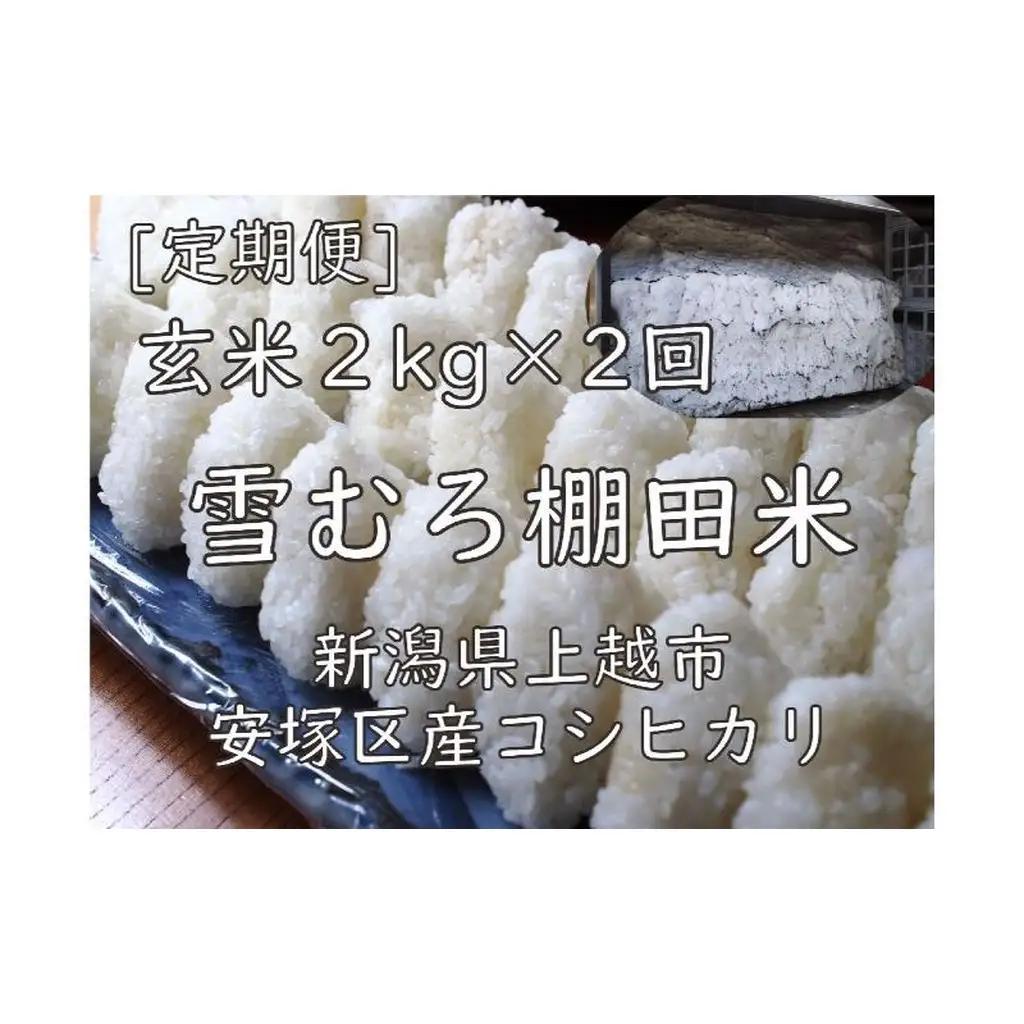 棚田米 コシヒカリ 玄米 コシヒカリ 2kg 毎月2回【定期便】