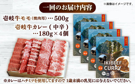【全12回定期便】モモ＆カレー中辛 和牛 焼肉 [JDW133]