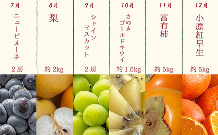 【12ヶ月連続定期便】綾川町の春夏秋冬！旬果実の単品定期便 