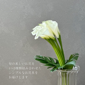 《数量限定・花瓶付き》～スタンダードstyle～季節の花束定期便（全12回）月1回お届け【 花 お花 神奈川県 小田原市 】