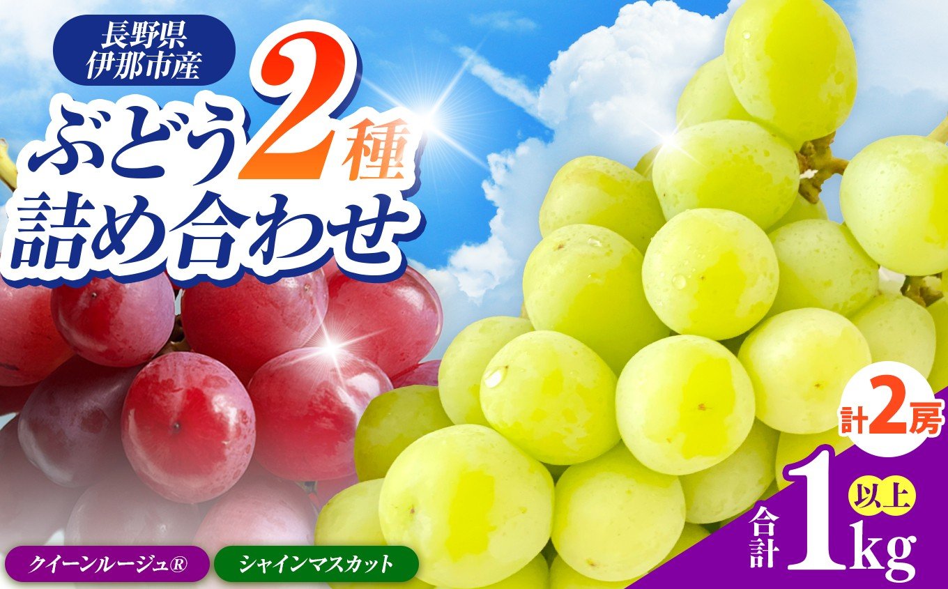 
            ぶどう 信州伊那産ぶどう2種食べ比べセット（1.0kg以上）シャインマスカット1房 クイーンルージュ(R)1房 全2房 | ぶどう ぶどう詰合せ 葡萄 セット ぶどう食べ比べ 2種セット シャインマスカット クイーンルージュ 種なし ぶどう高級 フルーツ ギフト フルーツ 旬のフルーツ 伊那市 長野県産 【013-46】
          