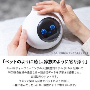会話AIロボットRomi（Lacatanモデル）本体＋月会費24か月分＜ナチュラルホワイト＞ 【212003-1】