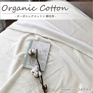 毛布 シングル 140×200cm アイボリー 贅沢 ふわふわ オーガニックコットン 綿毛布 ブランケット 肌掛け 肌掛け布団 肌布団 掛け布団 布団 高級 綿100% 日本製 寝具 大阪 大阪府 岸和田市