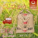 ＜6ヶ月定期便＞千葉県産エコ米「コシヒカリ」玄米5kg×6ヶ月連続 計30kg