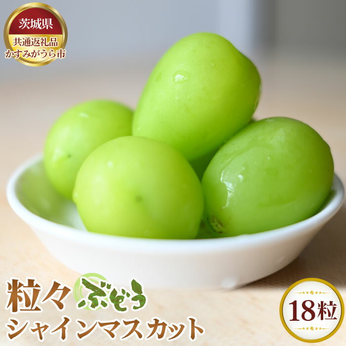 【ふるさと納税】【先行予約】粒々ぶどう18粒　シャインマスカット【茨城県共通返礼品 かすみがうら市】 ／ ブドウ 葡萄 フルーツ 果物 送料無料 茨城県 No.338