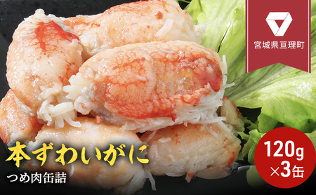 カニ缶 缶詰 本ずわいがに つめ肉 120g × 3個 セット