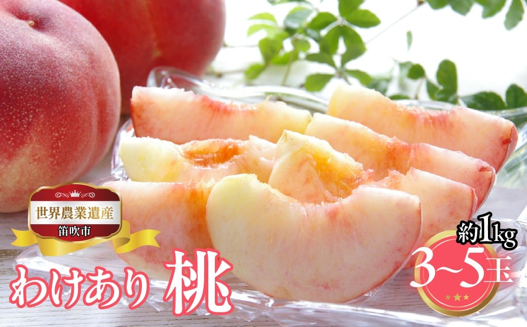 
            【2026年発送★先行予約】山梨県笛吹市産　ご家庭用桃(わけあり)　1kg　3玉～5玉 223-015-26y
          