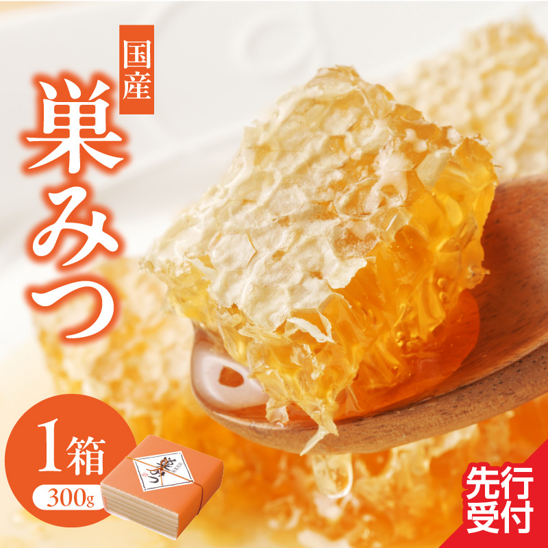 はちみつ 国産 巣みつ 300g ミツバチ 巣 蜂蜜 鮮度 味 栄養 自然 貯蔵 福岡県 八女市
