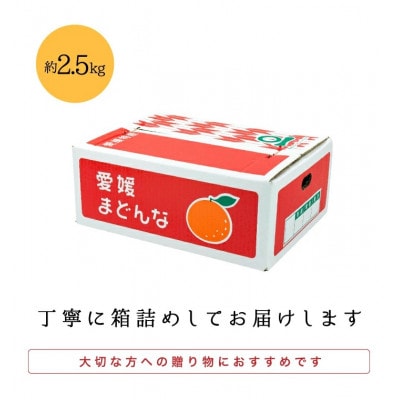 【まるでゼリー!ぷるぷる食感 冬ギフトに一番人気!】愛媛まどんな 贈答用約2.5kg【F20−52】【1595881】