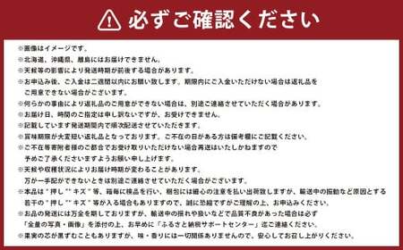 あたご梨 3～6玉 約4kg【2026年11月下旬～12月下旬迄順次発送予定】 フルーツ 果物 くだもの 梨 ナシ なし 国産