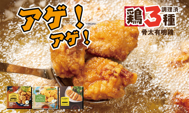 骨太有明鶏 （ チキンナゲット 塩から揚げ ササミチーズカツ ） 加工品 詰め合わせ 簡単 料理 レンチン 鶏3種類 揚げ JAフーズ さが 送料無料 おかず お弁当 セット 人気 ランキング 高評価 鶏肉 国産 佐賀県産