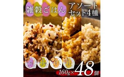 雑穀ごはん アソートセット 4種 160g 48個 十六雑穀 発芽玄米 玄米 もち麦 パックごはん パックご飯 ごはんパック ご飯パック パックライス パック 16雑穀 雑穀 米 ごはん ご飯 こめ 