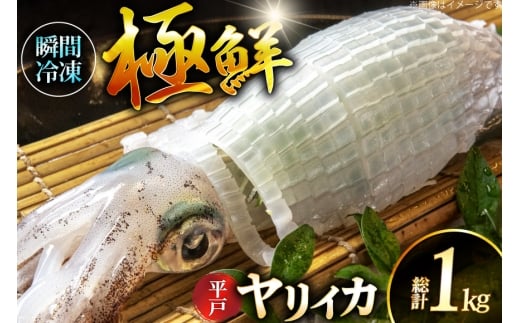 イカ 刺身 極鮮ヤリイカ 約1kg [海隆丸 長崎県 平戸市 hr42bgy400122] おつまみ ヤリイカ 新鮮 海鮮 魚介 瞬間冷凍 冷凍 コリコリ 直送 冷凍 個包装 真空パック