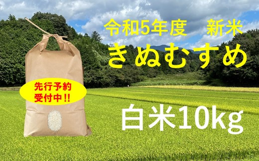令和5年産　食味コンテスト受賞者の作るお米シリーズ「きぬむすめ白米10kg」_【11月から3月発送】_S100