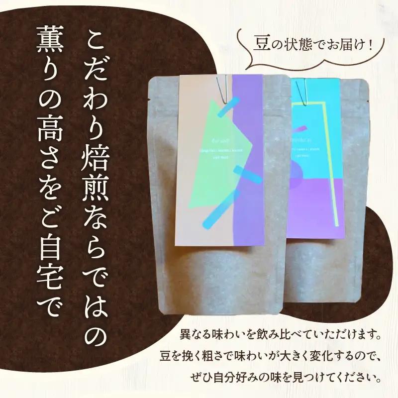 コーヒー 豆 コーヒー[バリスタおすすめのコーヒー豆 100g×2種類 ドリップバッグ 4袋 飲み比べ コーヒー豆 セット 詰め合わせ 珈琲 珈琲豆 バリスタセレクト ドリップパック ドリップ 浅煎り