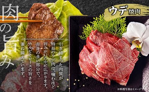 宮崎牛肩ロース焼きしゃぶ300g 宮崎牛ウデ焼肉400g_M132-031