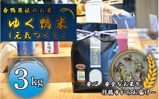 CB-007_合鴨農法のお米「ゆく鴨米」（元気つくし）3ｋｇ～安心･安全なお米を行橋市からお届け