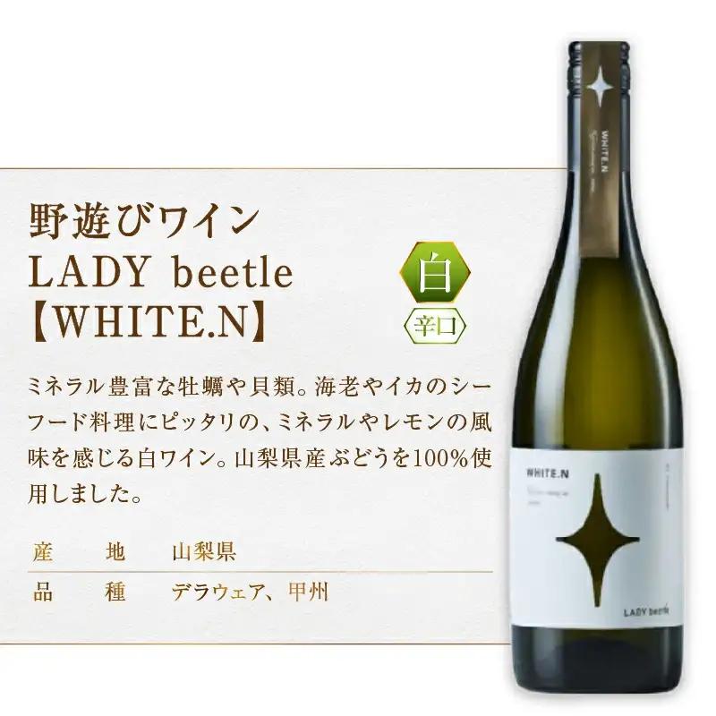 ワイン フジクレール 野遊びワインシリーズ LADY beetle 5本セット（MG）H-665