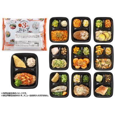 ふるさと納税 尼崎市 いつでも三菜10食バラエティセット |  | 03