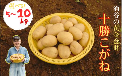 涌谷の黄金食財じゃがいも 「十勝こがね」10kg
