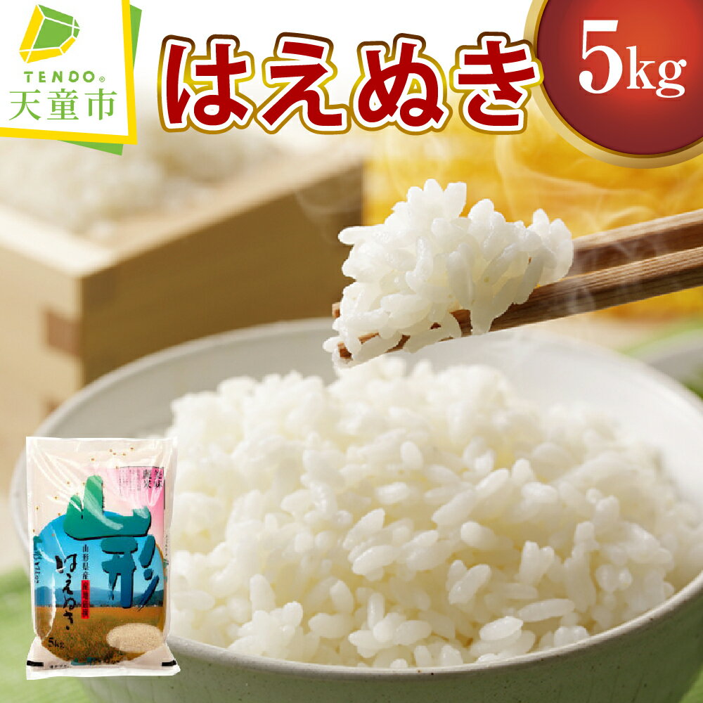 【ふるさと納税】 はえぬき 5kg 令和6年産 米 コメ こめ おこめ 精米 ブランド米 ごはん 白米 おにぎり 弁当 5kg 袋 お取り寄せ 送料無料 【 山形県 天童市 】