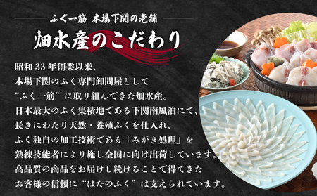 【お届け指定日必須】 とらふぐ 料理セット 5～6人前 ふぐ ID