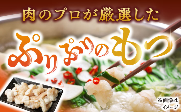 博多味噌もつ鍋 3～4人前セット 吉富町/株式会社MEAT PLUS [BGAB004]